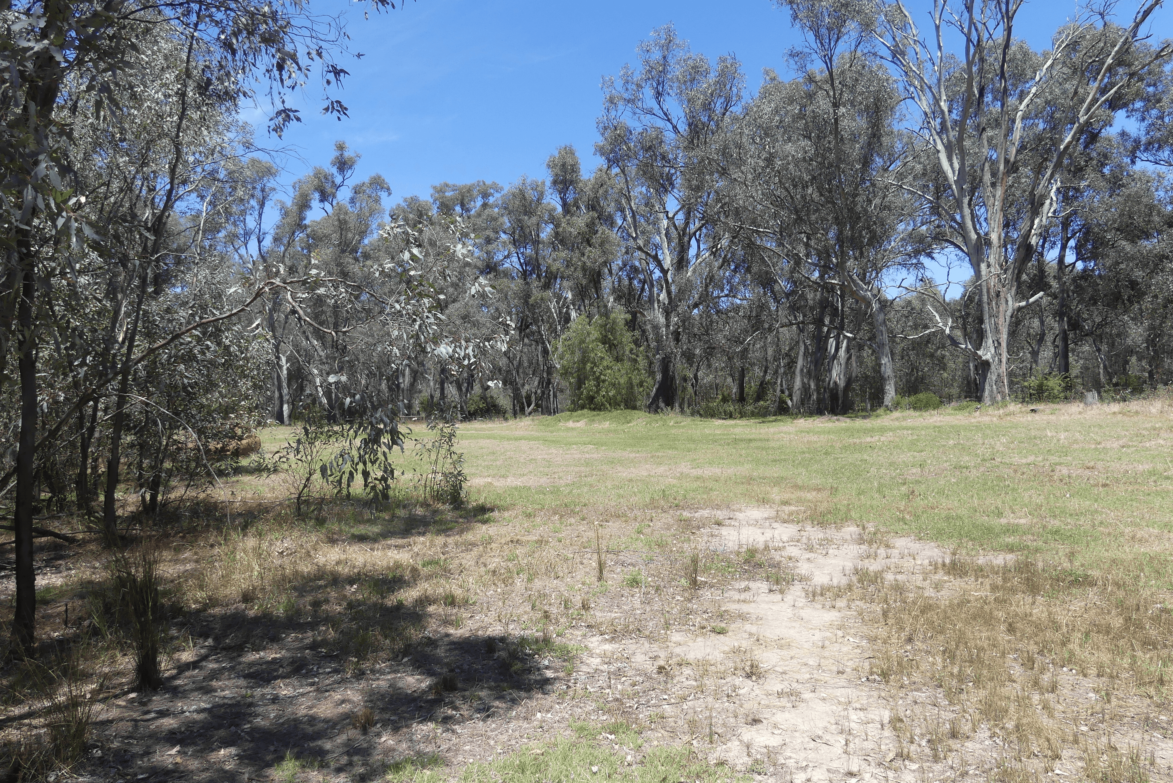 65 Hutchinson Road, MURCHISON EAST, VIC 3610