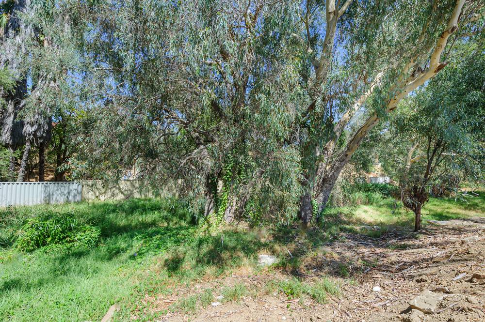 4/16 Frederic Street, Midland, WA 6056