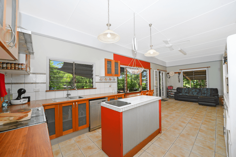 103 Black River Road, BLACK RIVER, QLD 4818