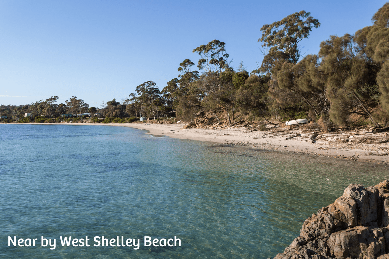 12 Integrity Way, ORFORD, TAS 7190