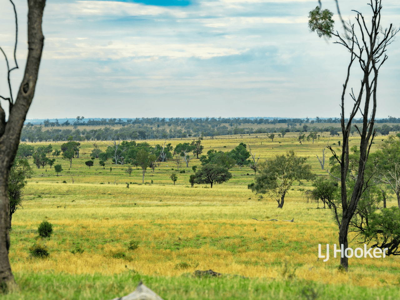 1408 "Bindango" - Bindango Road, ROMA, QLD 4455