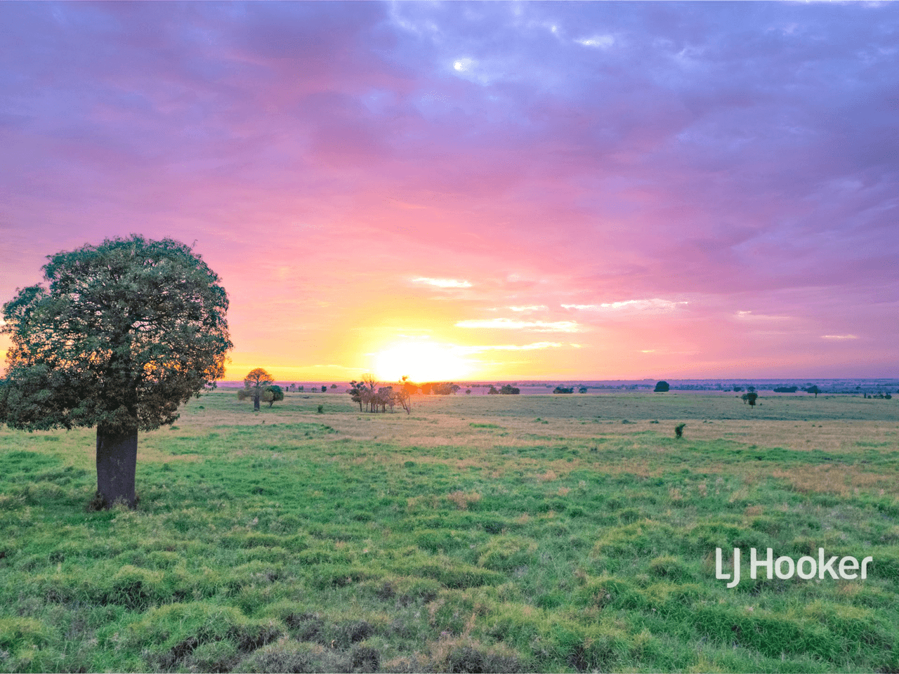 1408 "Bindango" - Bindango Road, ROMA, QLD 4455