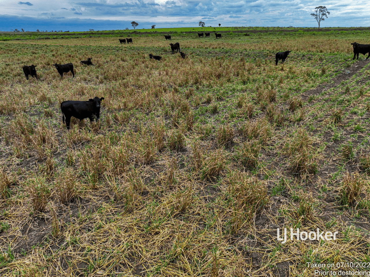 1408 "Bindango" - Bindango Road, ROMA, QLD 4455