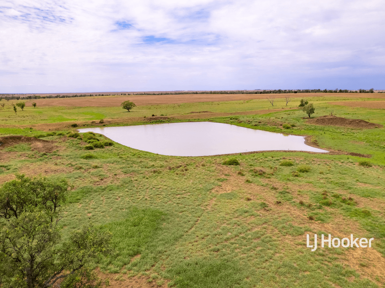 1408 "Bindango" - Bindango Road, ROMA, QLD 4455