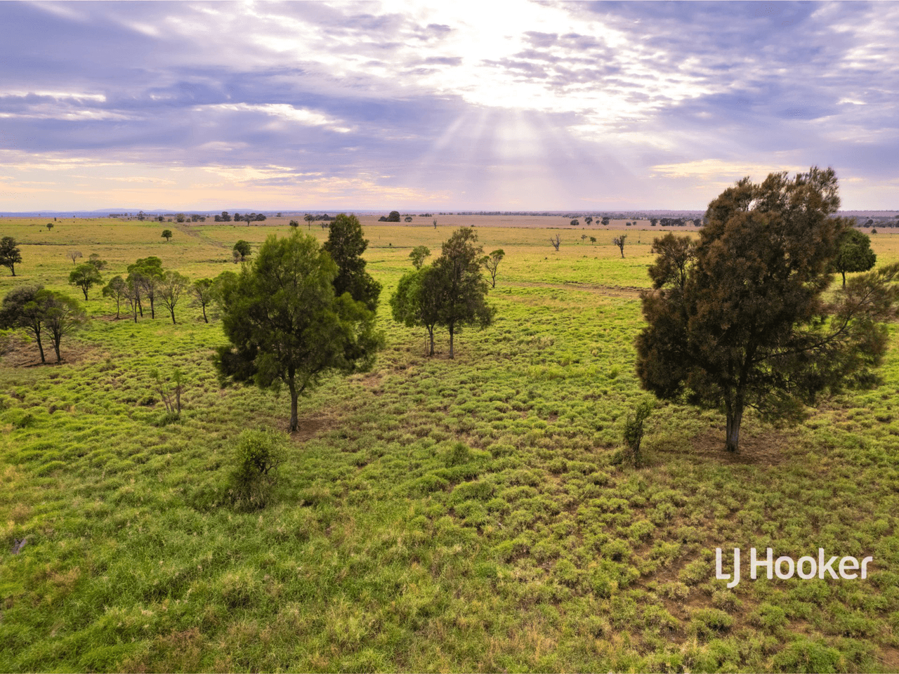 1408 "Bindango" - Bindango Road, ROMA, QLD 4455