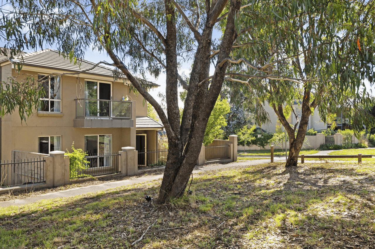 41 Helen Turner Street, GUNGAHLIN, ACT 2912