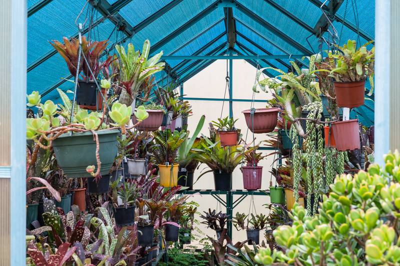 10 Sales Avenue, Silverdale, NSW 2752