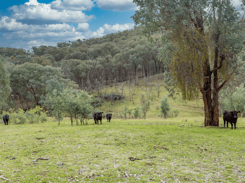 1520 Banksdale Road, HANSONVILLE, VIC 3675