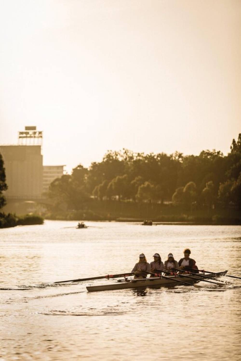 1106A/971 Collins Street, DOCKLANDS, VIC 3008