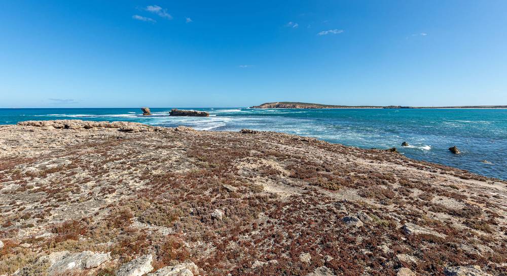45 Beach Terrace, Elliston, SA 5670