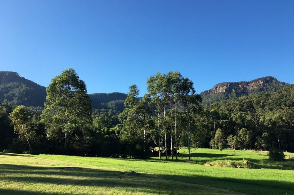 20  Carters Road, Barrengarry, NSW 2577