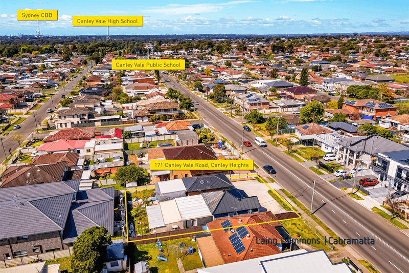 171 Canley Vale Road, Canley Heights, NSW 2166