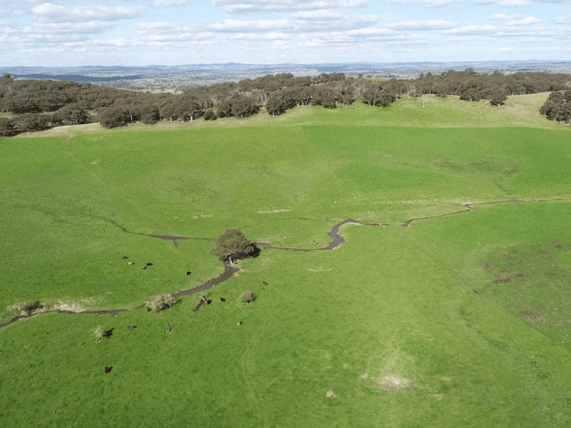 1597 Black Range Road, BOWNING, NSW 2582