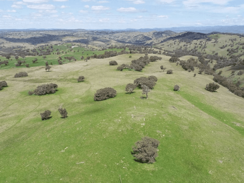 1597 Black Range Road, BOWNING, NSW 2582