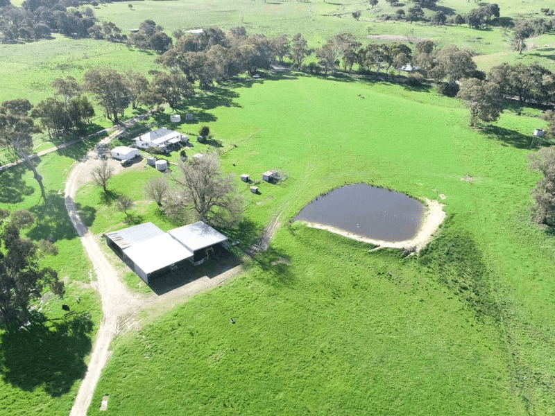 1597 Black Range Road, BOWNING, NSW 2582