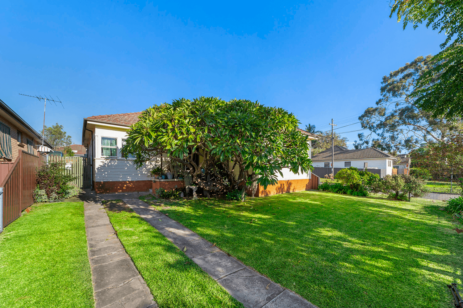 19 Banks Street, Padstow, NSW 2211