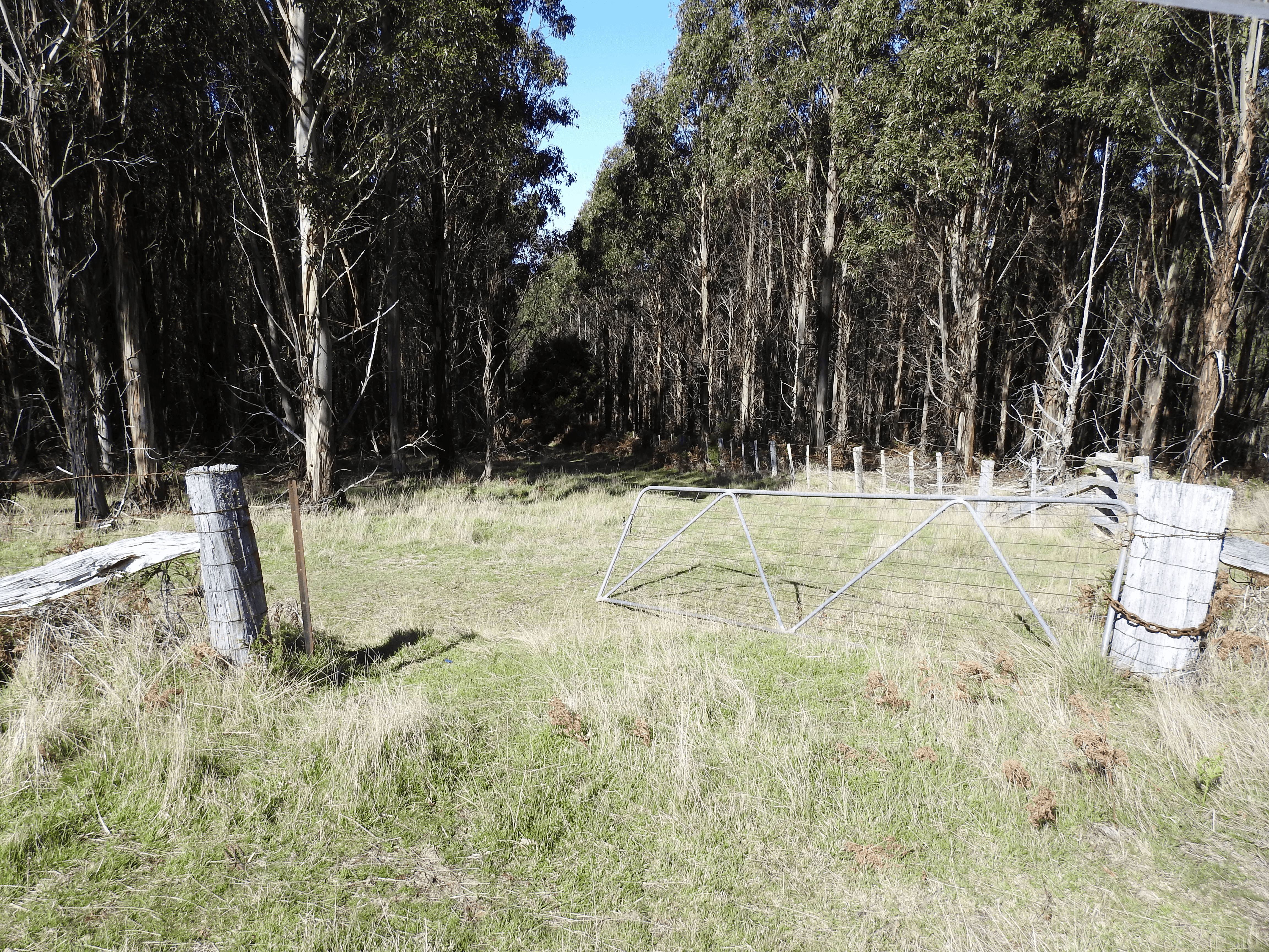 2140066 Hop Valley Road, BLACKWOOD CREEK, TAS 7301
