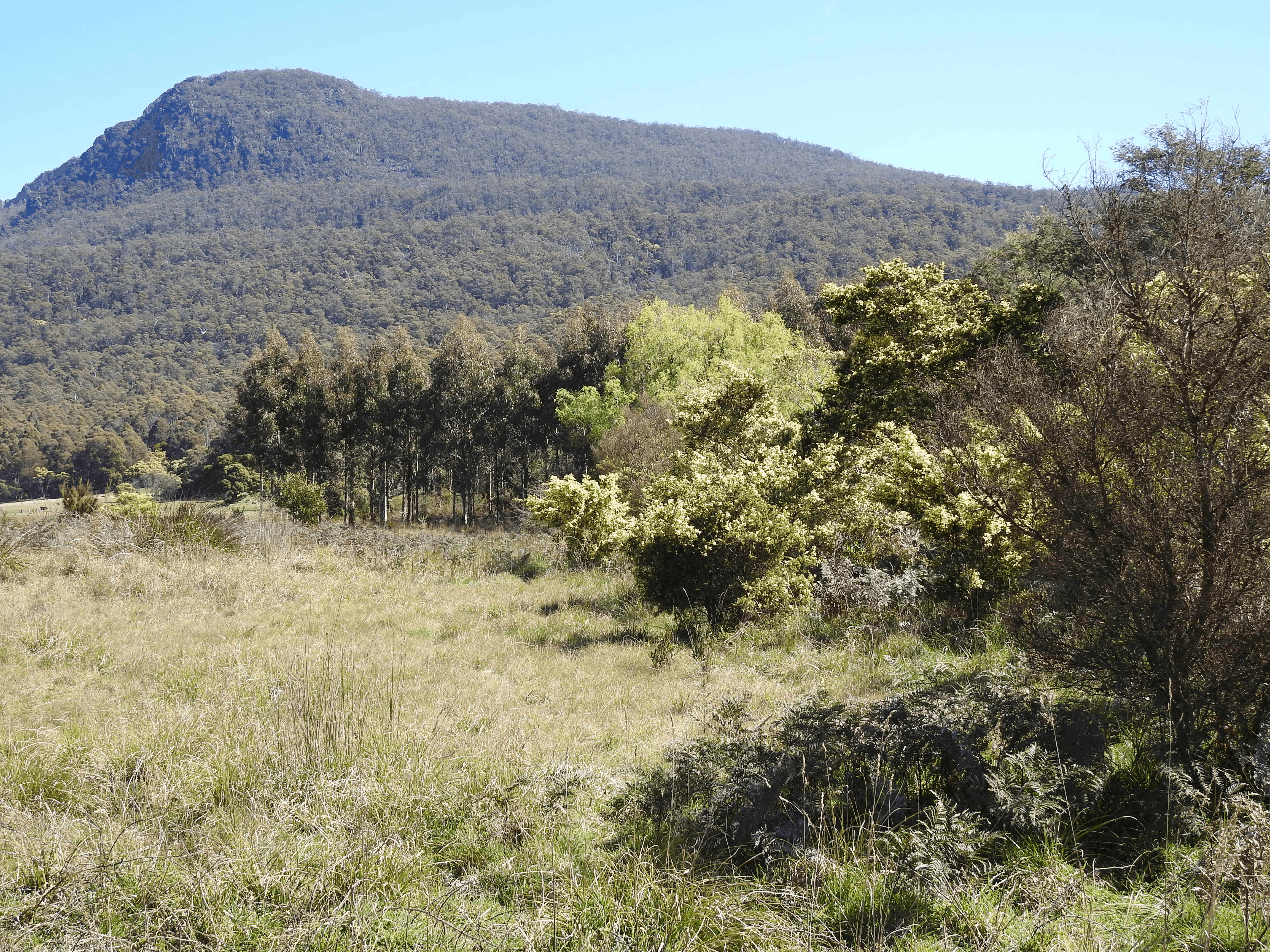 2140066 Hop Valley Road, BLACKWOOD CREEK, TAS 7301