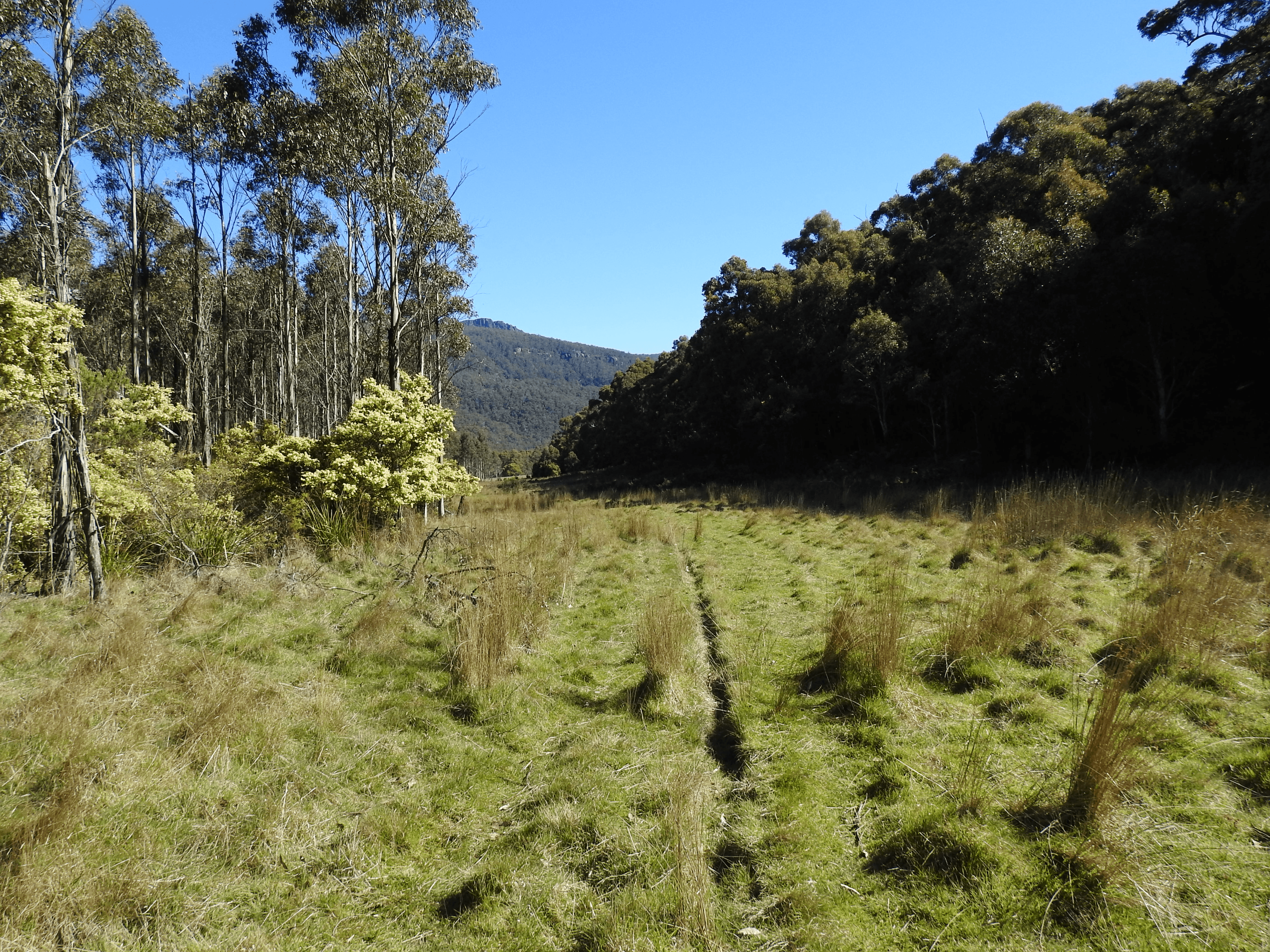 2140066 Hop Valley Road, BLACKWOOD CREEK, TAS 7301