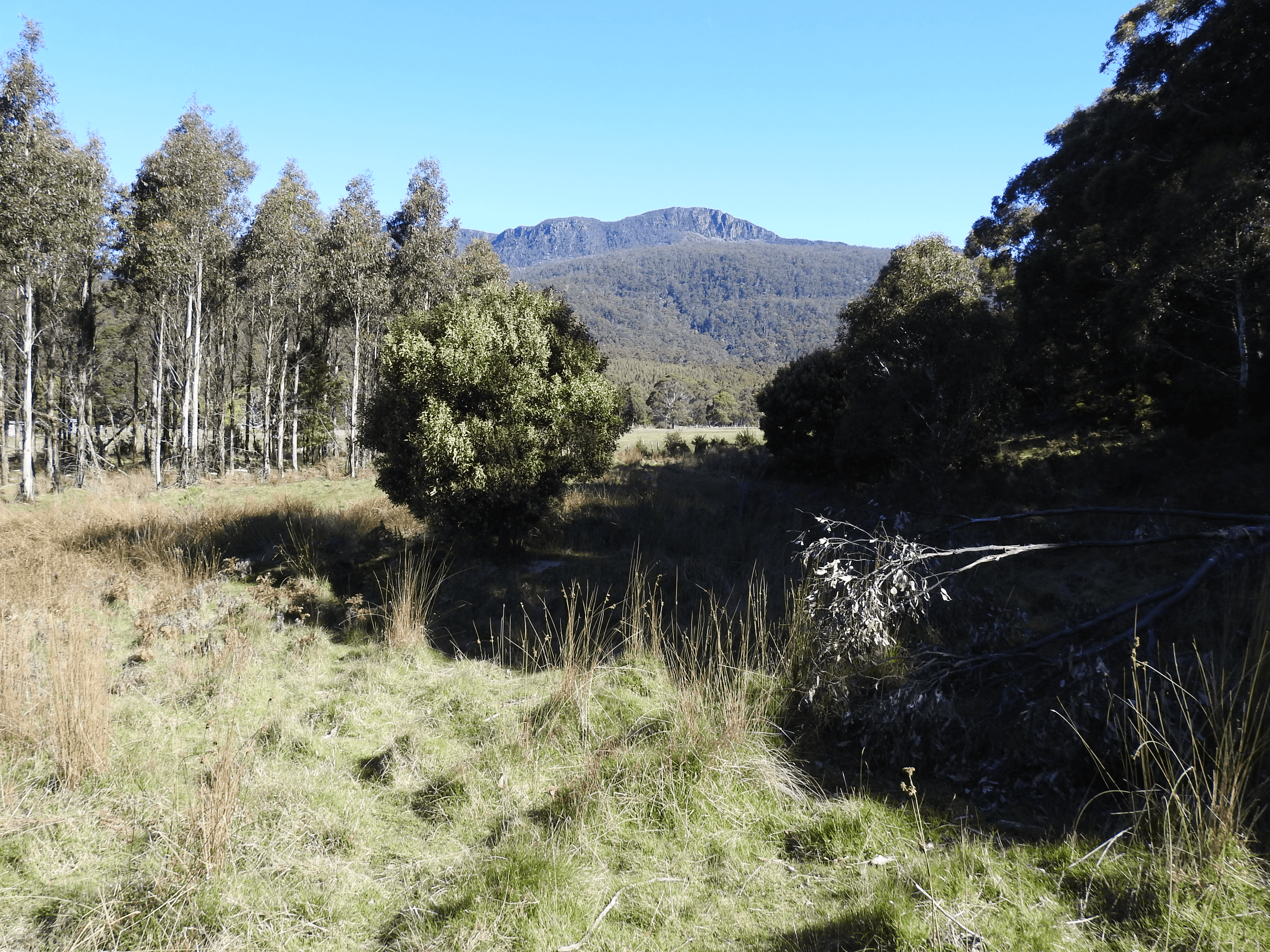2140066 Hop Valley Road, BLACKWOOD CREEK, TAS 7301