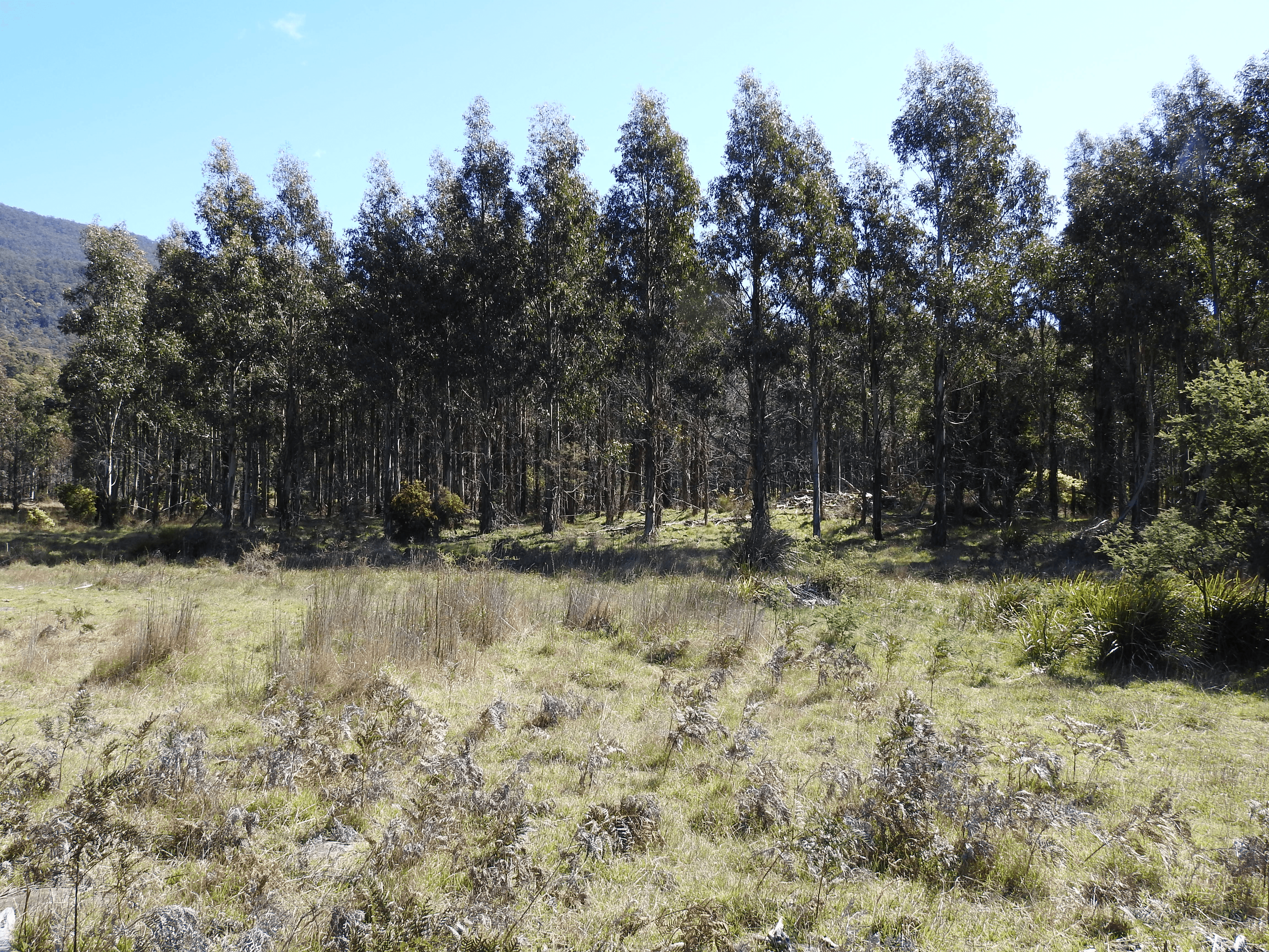2140066 Hop Valley Road, BLACKWOOD CREEK, TAS 7301