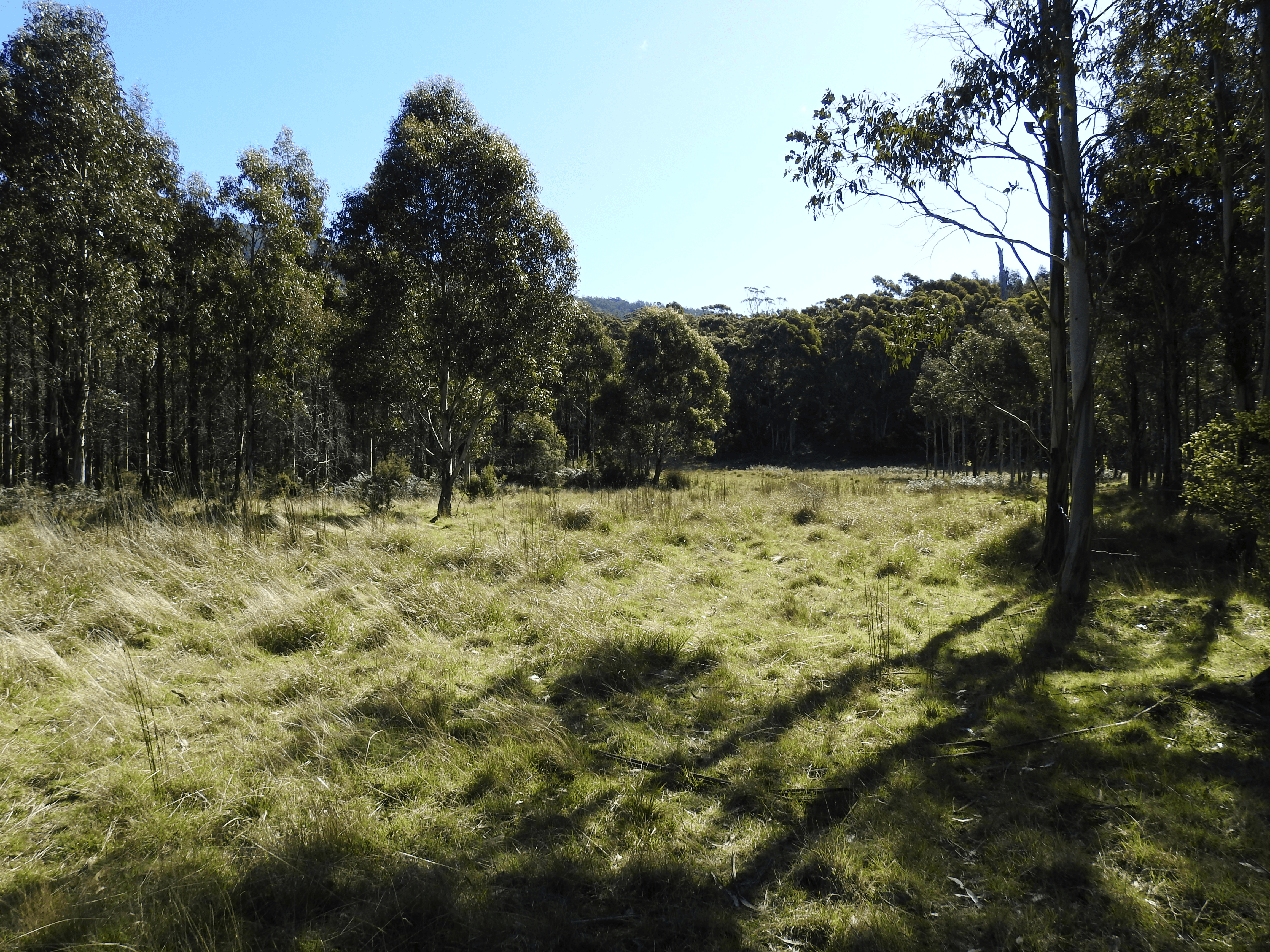 2140066 Hop Valley Road, BLACKWOOD CREEK, TAS 7301
