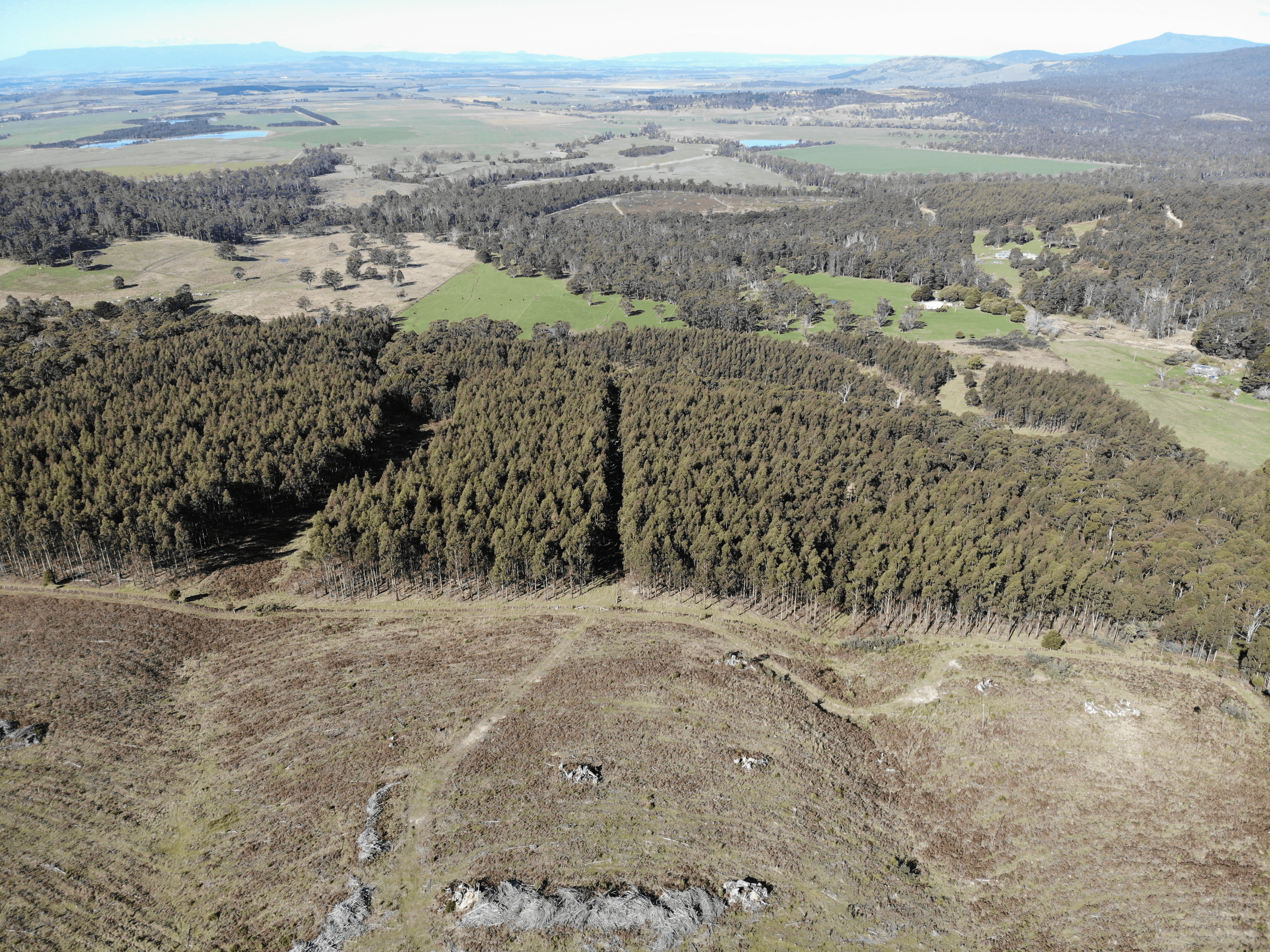 2140066 Hop Valley Road, BLACKWOOD CREEK, TAS 7301