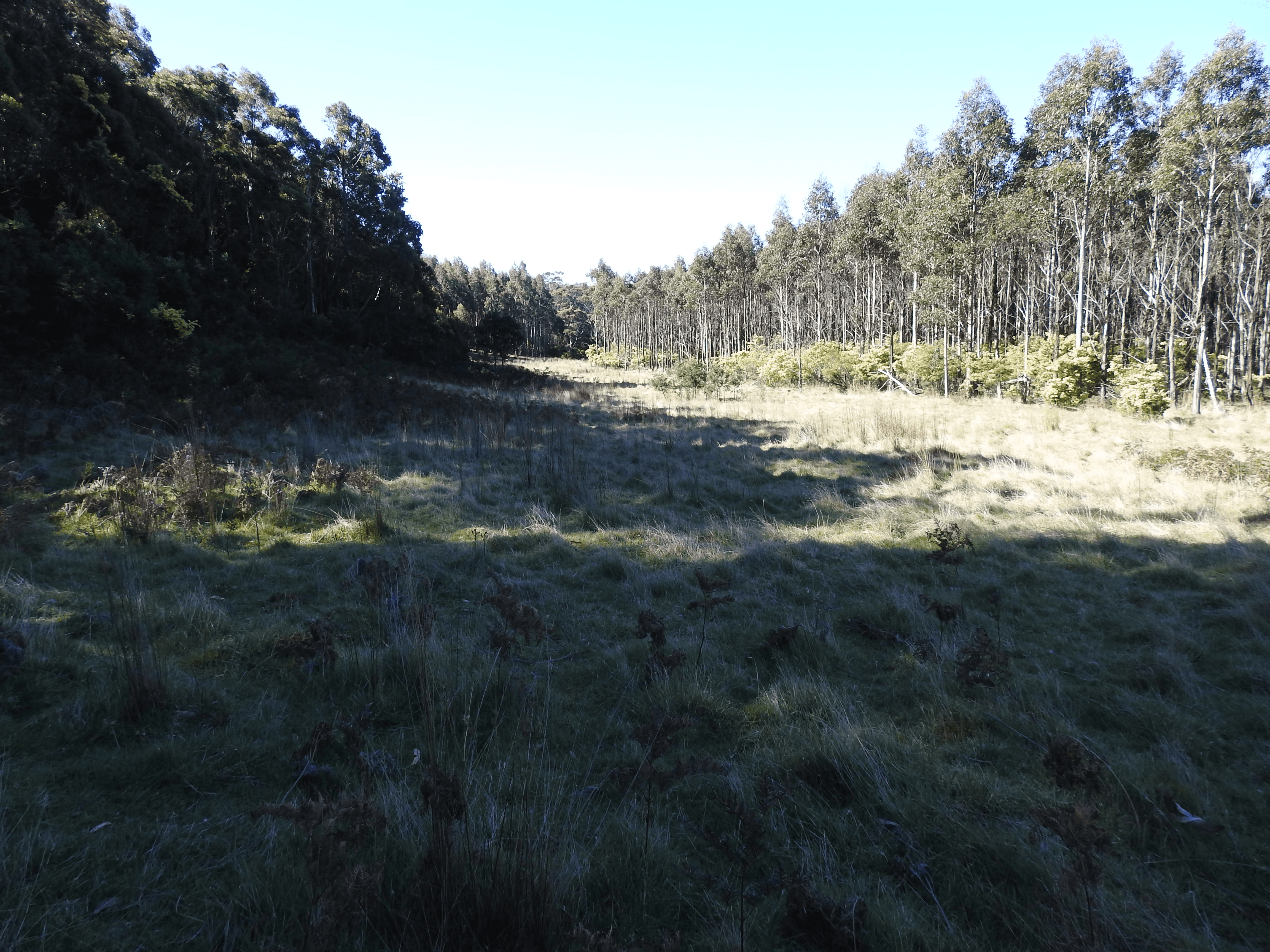 2140066 Hop Valley Road, BLACKWOOD CREEK, TAS 7301