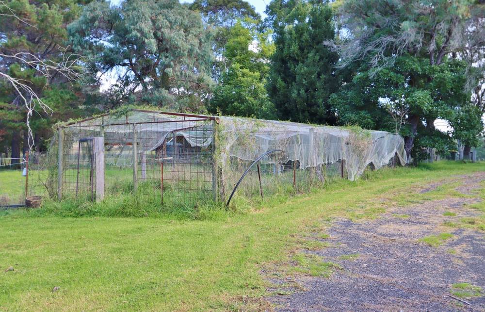6 Genoa Street, TOWAMBA, NSW 2550