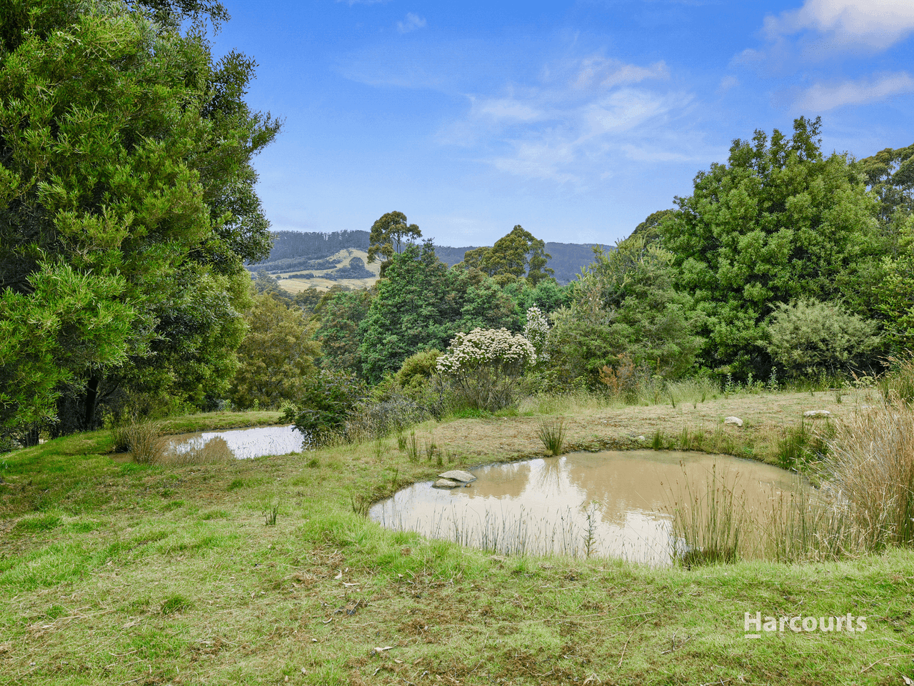 608 Nubeena Back Road, KOONYA, TAS 7187