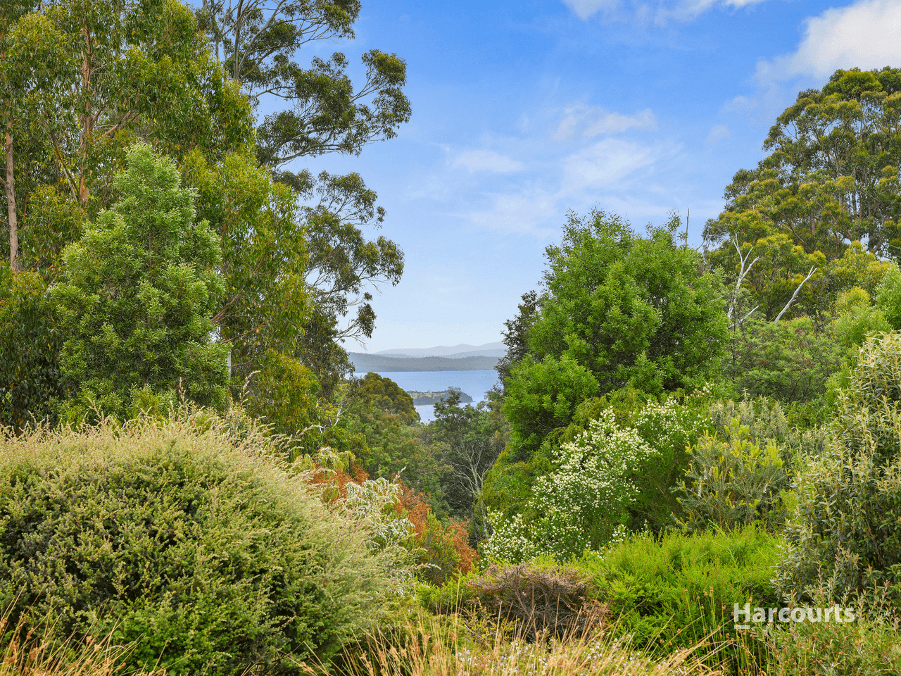 608 Nubeena Back Road, KOONYA, TAS 7187