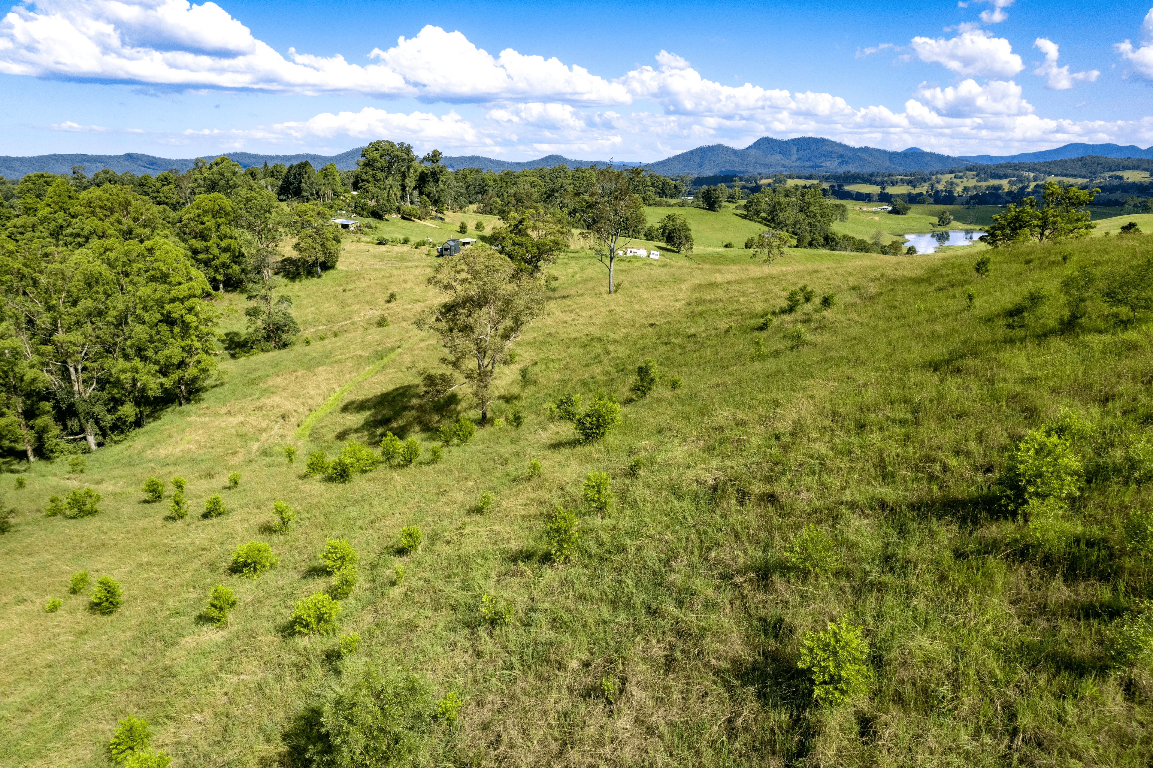 444 North Arm Road, Argents Hill, NSW 2449