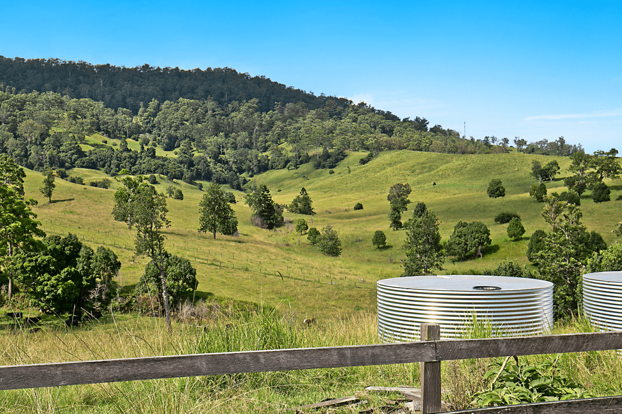 50 hoggs Road, TYALGUM CREEK, NSW 2484