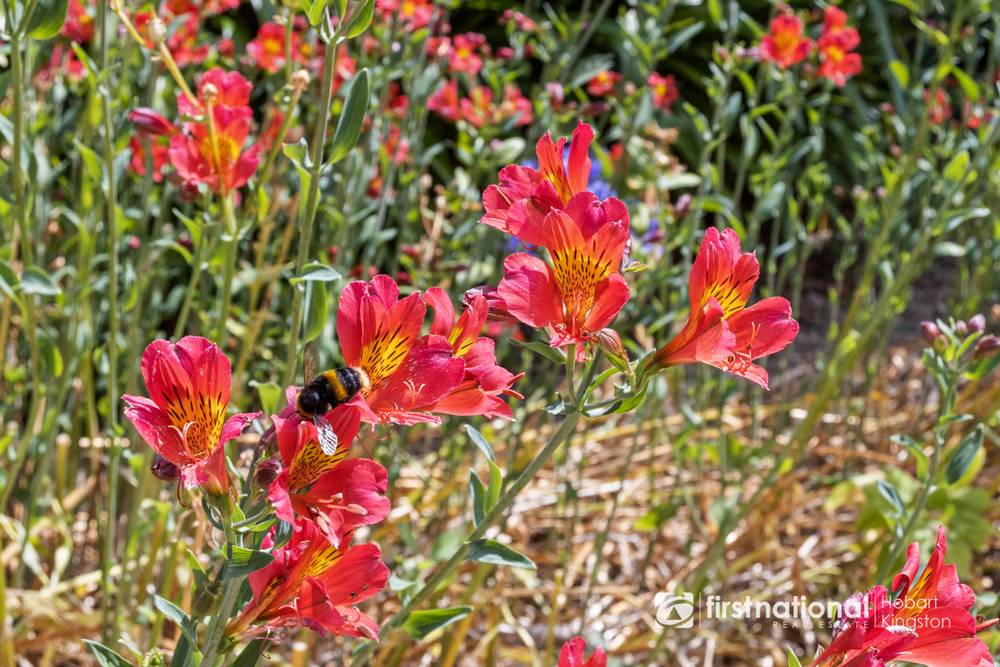 489 Manuka Road, KETTERING, TAS 7155