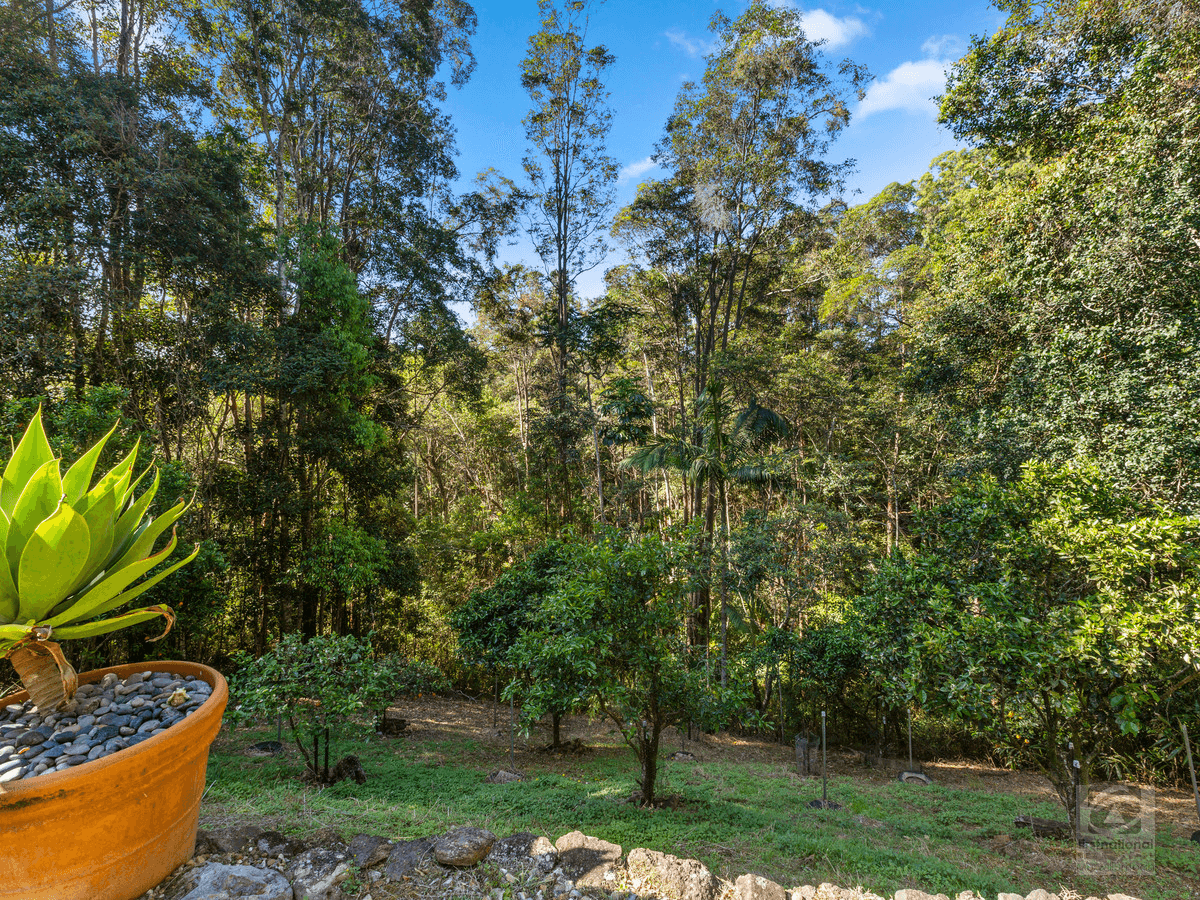 91 Clareville Road, Uki, NSW 2484