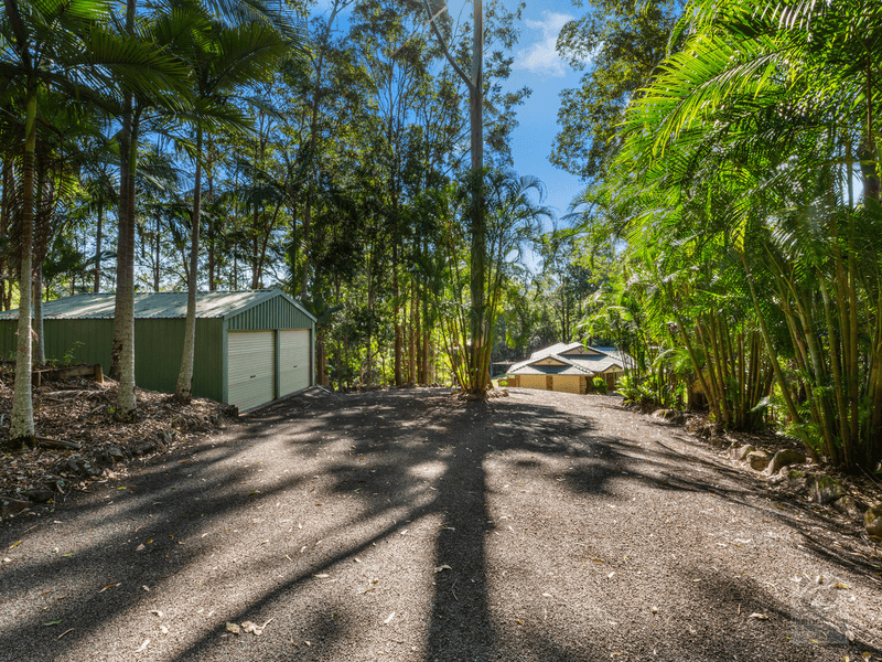 91 Clareville Road, Uki, NSW 2484