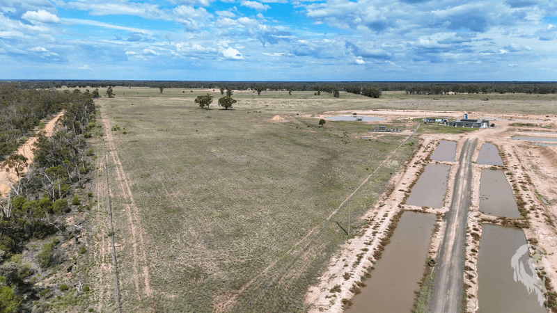 1767 Stumpy Lane Road, WEE WAA, NSW 2388