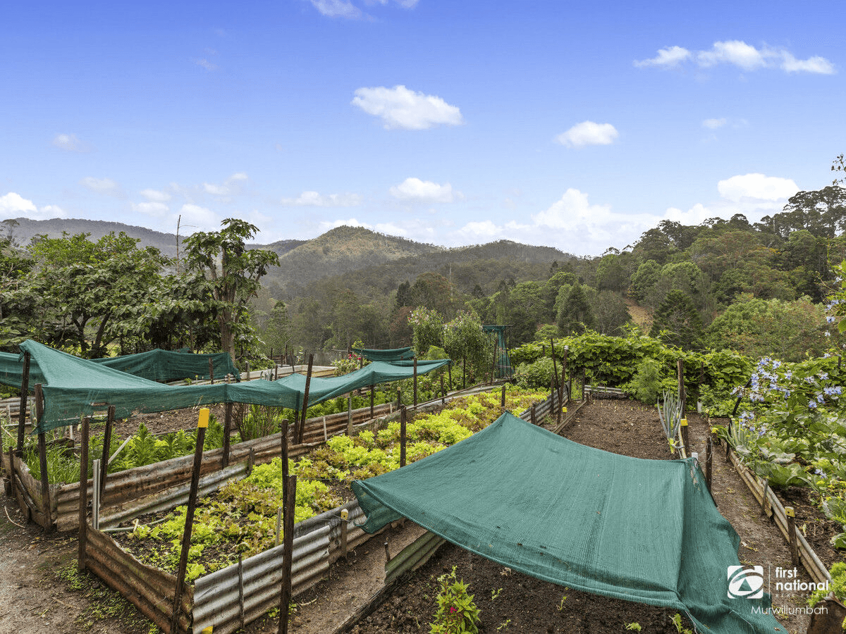 260 Rowlands Creek Road, Rowlands Creek, NSW 2484