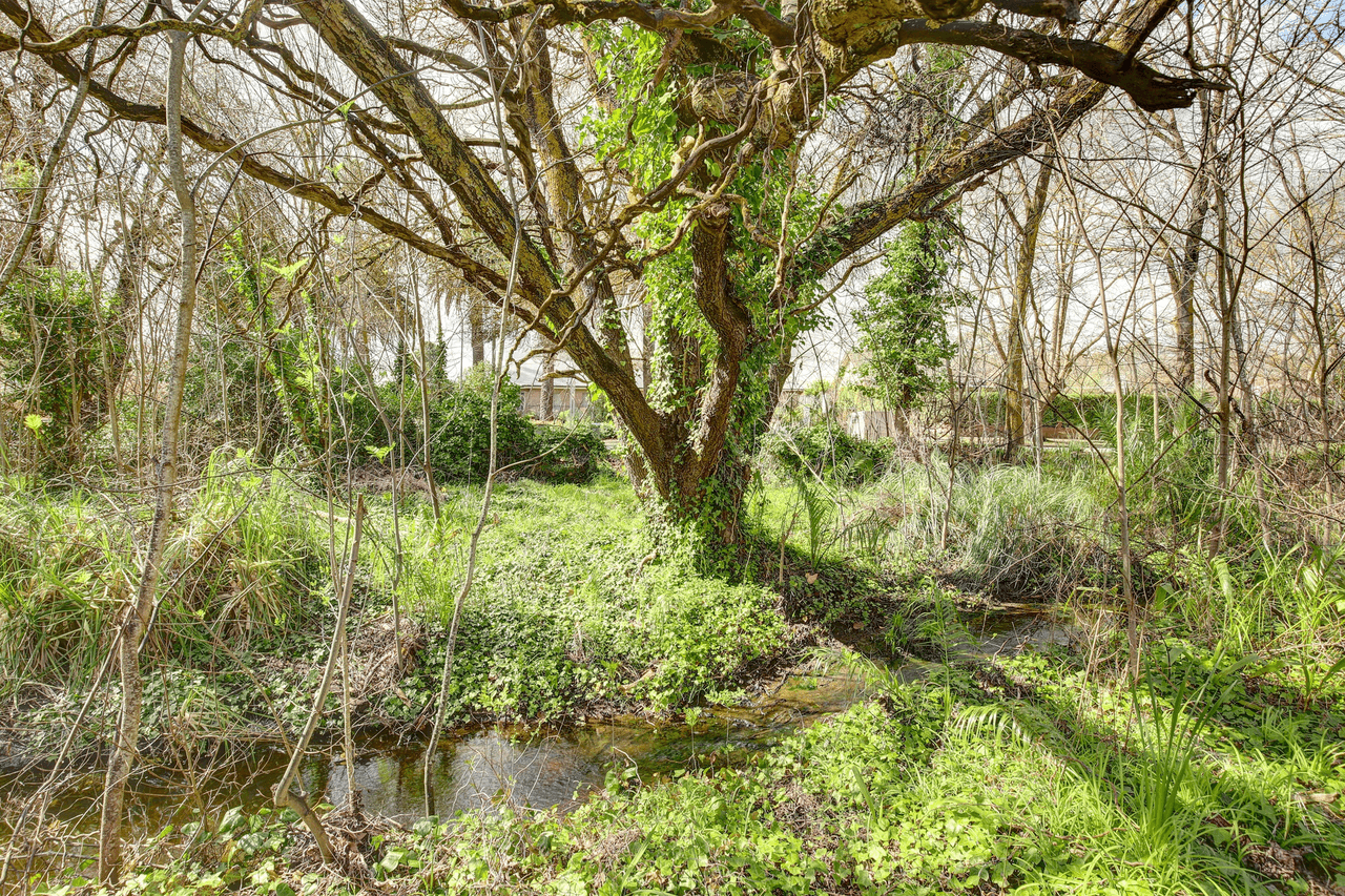 53B Auricht Road, Hahndorf, SA 5245