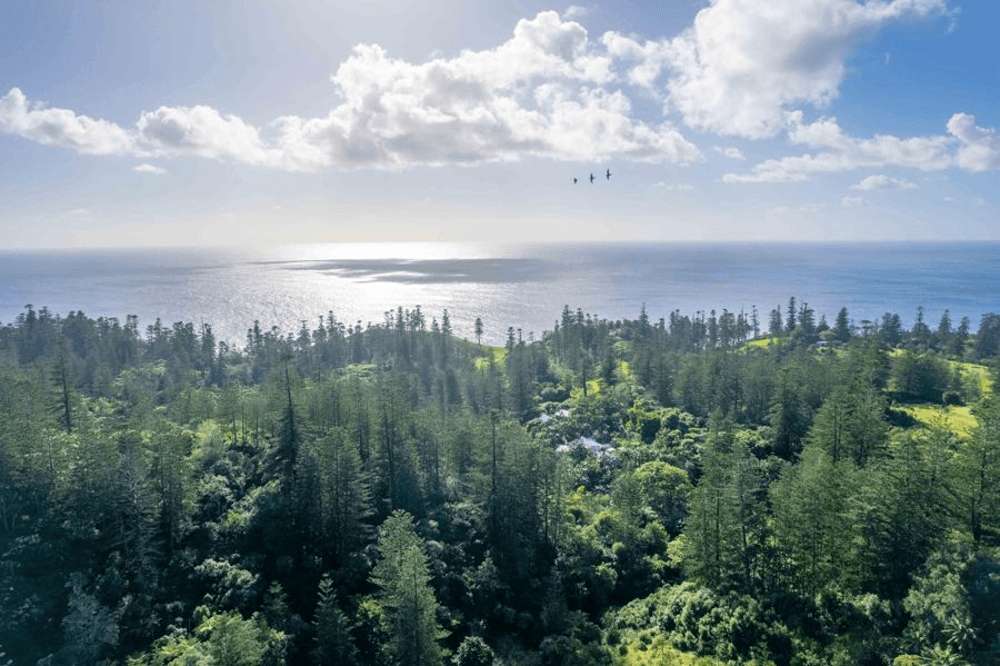 1 RED ROAD, NORFOLK ISLAND, NSW 2899