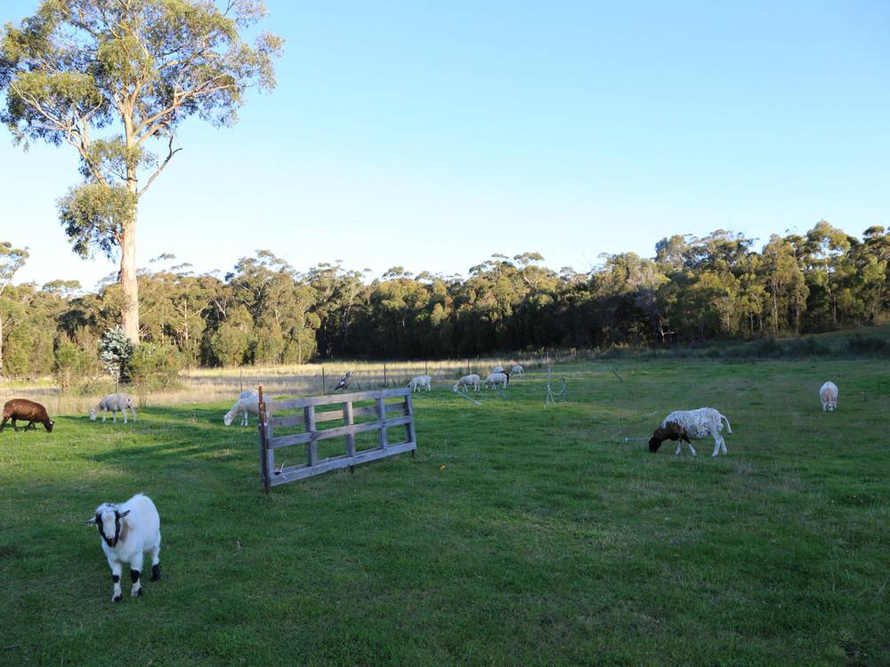 1 Barnard Drive, BICHENO, TAS 7215