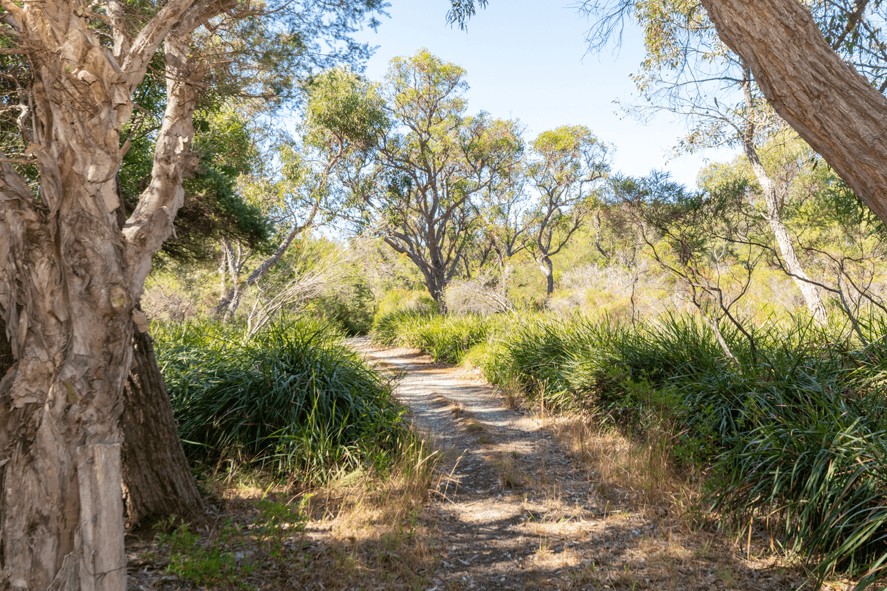 17A Beveridge Street, DENMARK, WA 6333