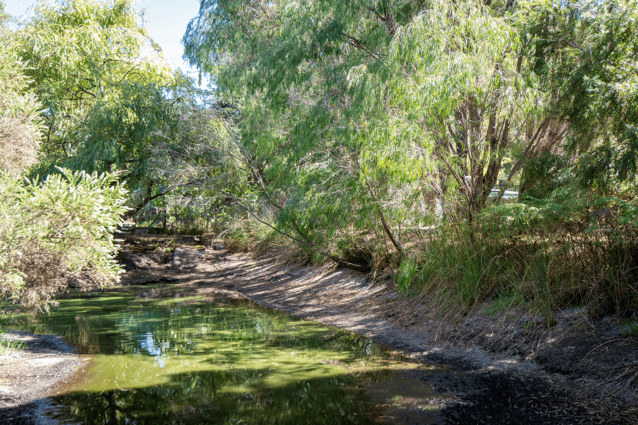 17A Beveridge Street, DENMARK, WA 6333