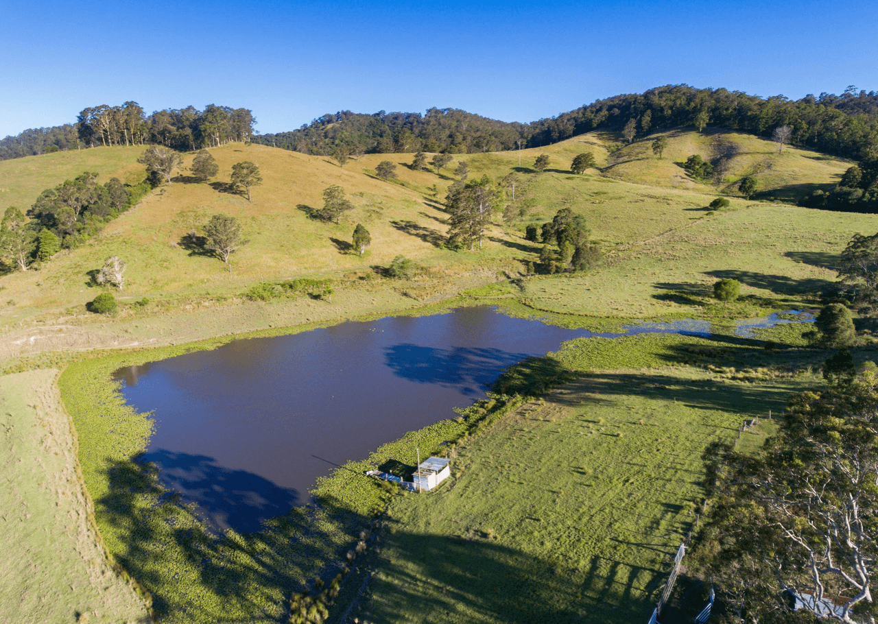 857 Willina Road, WILLINA, NSW 2423