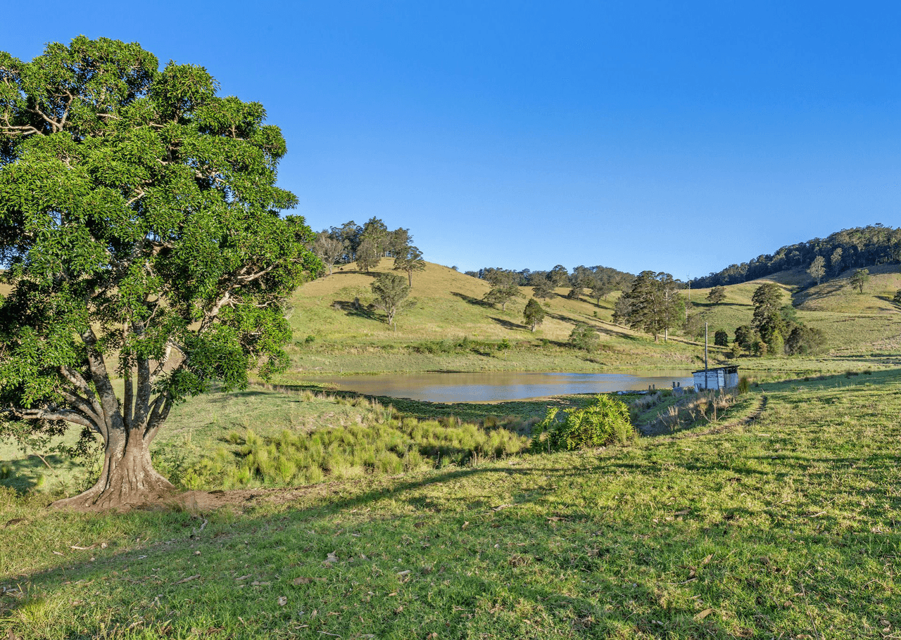 857 Willina Road, WILLINA, NSW 2423