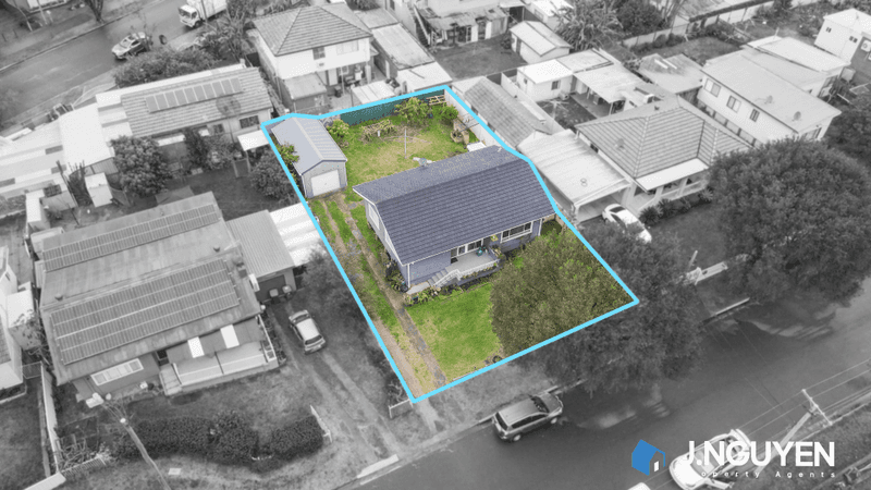 19 Ramsay Street, CANLEY VALE, NSW 2166