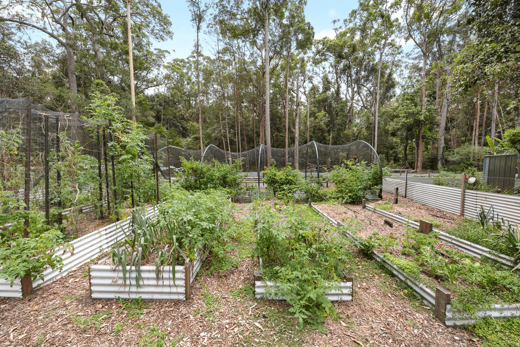 49 Kildeys Road, COOTHARABA, QLD 4565