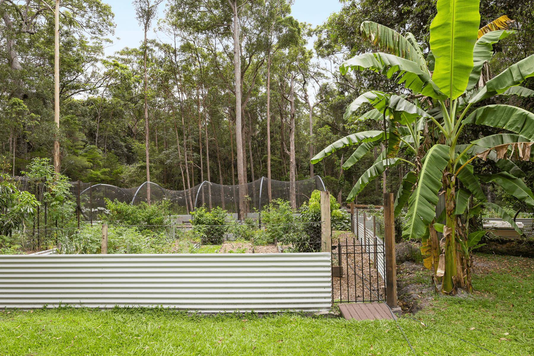 49 Kildeys Road, COOTHARABA, QLD 4565