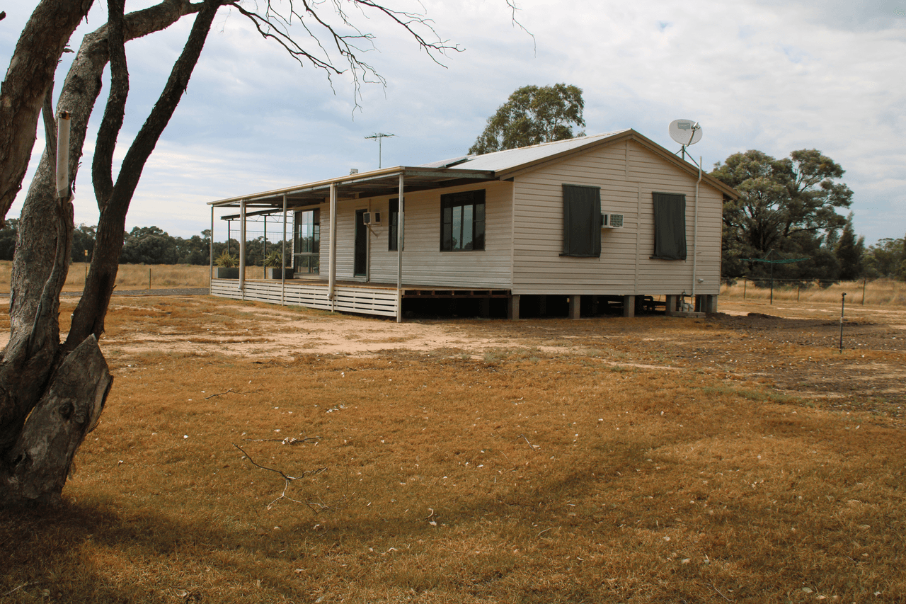 208 Forest Way, WEE WAA, NSW 2388