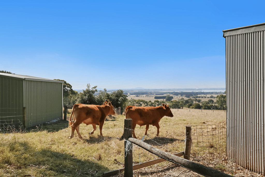 38A Park Avenue, CAMPERDOWN, VIC 3260